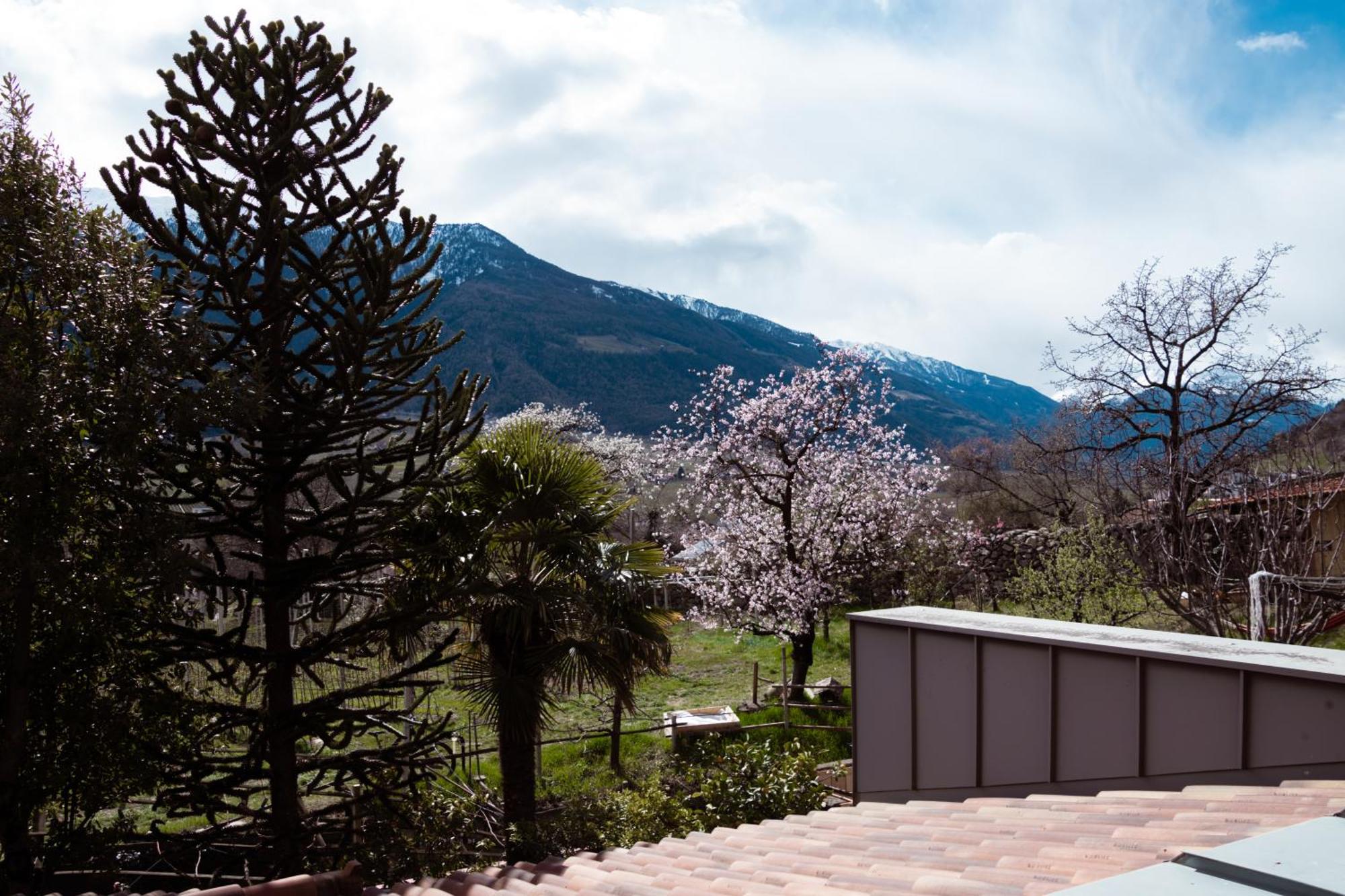 Garni Unterwegguetl Bed and Breakfast Naturns Eksteriør billede